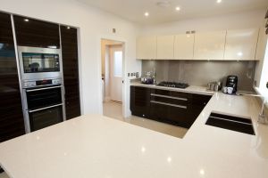 chestnut shadwell 17 sm.jpg